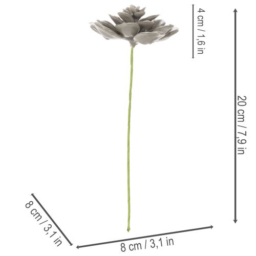 Umělá sukulentní vosková umělá rostlina s drátem 8 cm 8 ks | Floristik24.cz