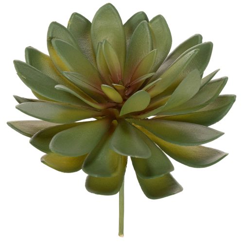 Umělý sukulent jako dekorativní rostlina, zelený, 18 cm, 3 kusy