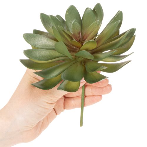 Umělý sukulent jako dekorativní rostlina, zelený, 18 cm, 3 kusy | Floristik24.cz