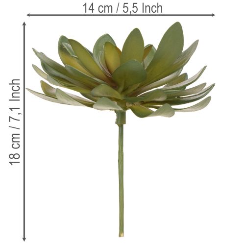 Umělý sukulent jako dekorativní rostlina, zelený, 18 cm, 3 kusy | Floristik24.cz