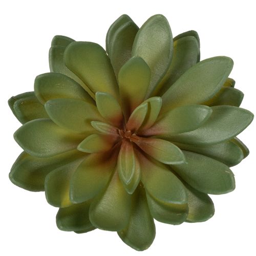 Umělý sukulent jako dekorativní rostlina, zelený, 18 cm, 3 kusy | Floristik24.cz