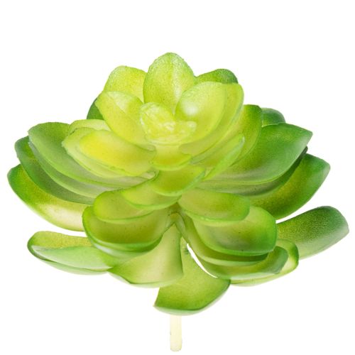 položky Umělá sukulentní rostlina, zelená, k dekoraci do misky nebo vázy, 10 cm, 4 kusy