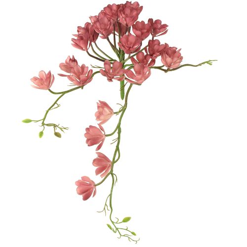 Umělý sukulent 28 rozet Aeonium starorůžový 43cm