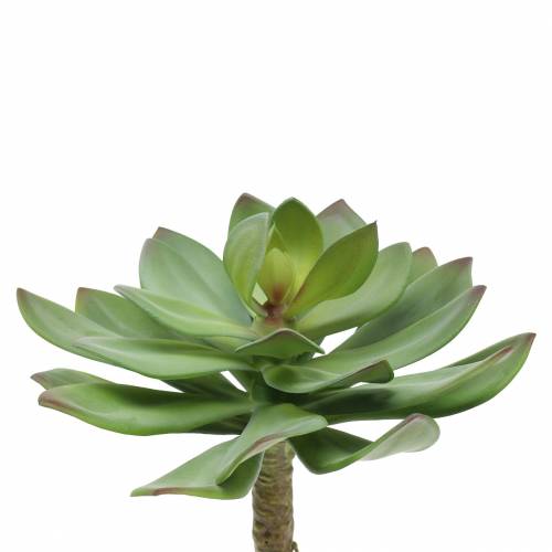 Sukulentní rostlina umělá zelená 27cm