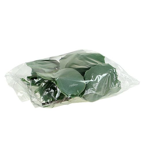 Floristik24 Sukulentní rozchodník L18cm 4ks