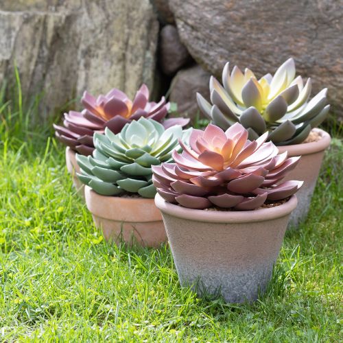 položky Sukulentní rostlina v květináči Echeveria umělá červená vintage Ø15cm H16cm