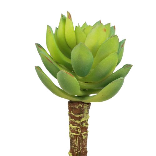 Sukulentní Echeveria umělá zelená rostlina zelená Ø5,5cm 12,5cm