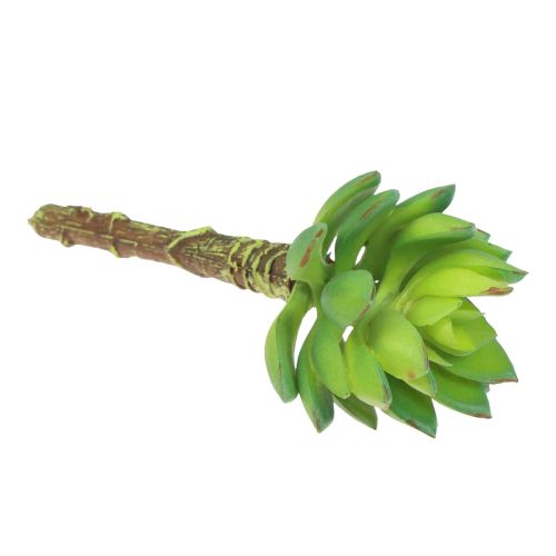 položky Sukulentní Echeveria umělá zelená rostlina zelená Ø5,5cm 12,5cm