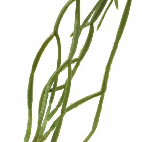 položky Sukulentní závěsná umělá zelená 110cm