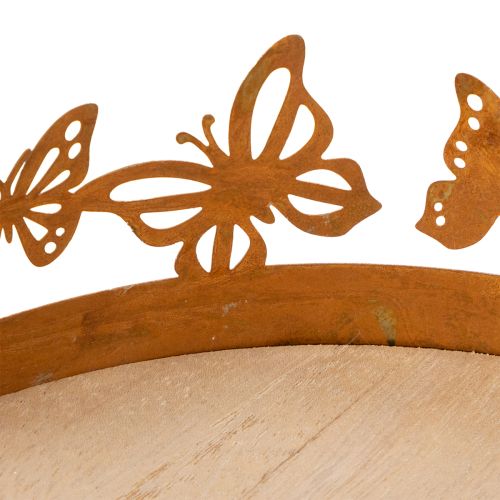 Tác s motýly, pružina, dekorace na stůl, kovová dekorace, rezavý povrch, Ø20cm V6,5cm | Floristik24.cz