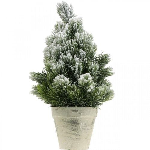 Floristik24 Mini vánoční stromek v květináči uměle zasněžovaný Ø18cm H32cm
