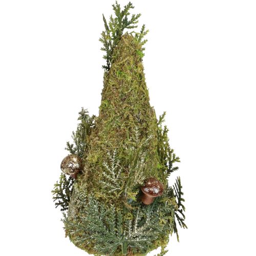 Floristik24 Dekorace jedle strom mechové šišky houby zelené zlato V35cm