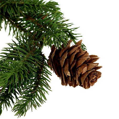 Floristik24 Jedlový věnec se šiškami Ø11cm 6ks