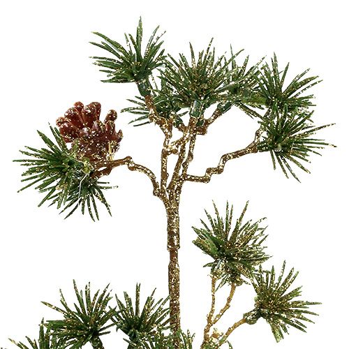 Floristik24 Jedle větev zelená, zlatý třpyt 46cm