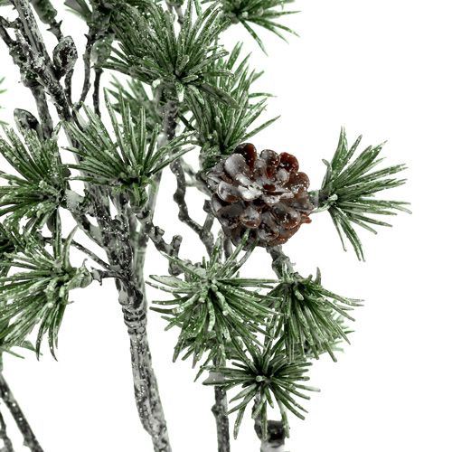 Floristik24 Jedle větev obílená zelená 46cm