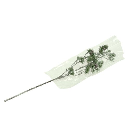 Floristik24 Jedle větev obílená zelená 46cm