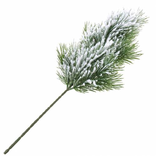 Floristik24 Borová větev zelená zasněžená 50cm