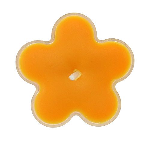 Floristik24 Čajová svíčka jako květina s vůní 4,5x2cm 6ks