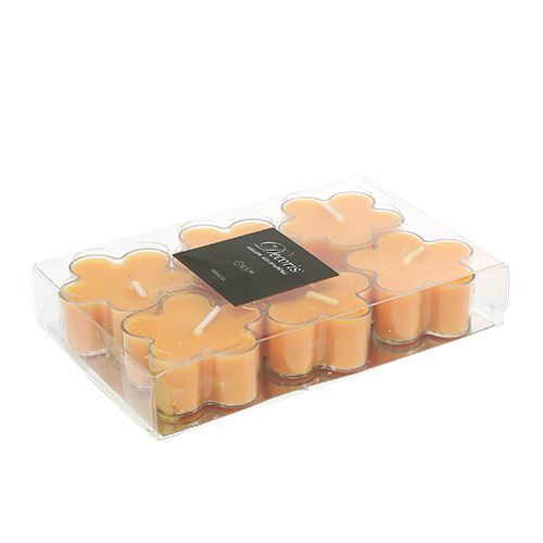 Floristik24 Čajová svíčka jako květina s vůní 4,5x2cm 6ks