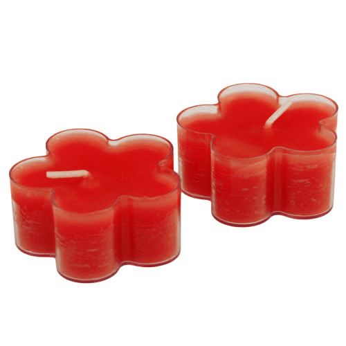 Floristik24 Blossom Light Ruby 12ks