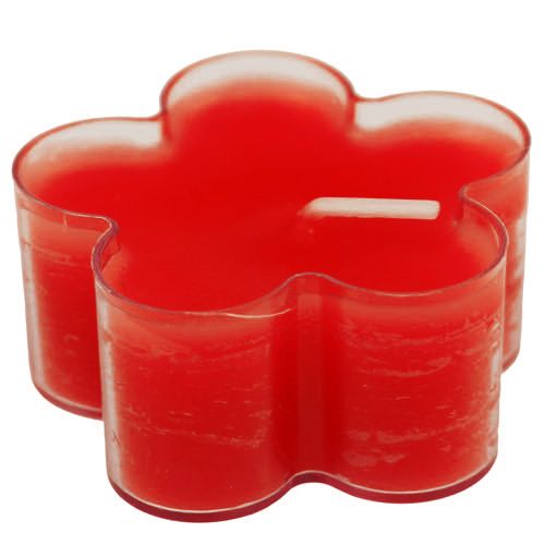 Floristik24 Blossom Light Ruby 12ks