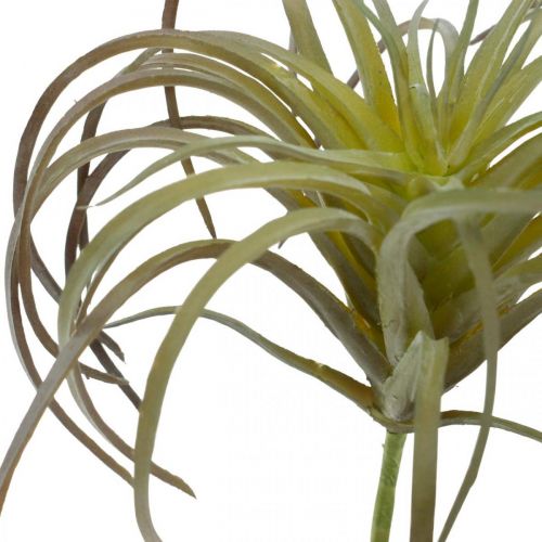 Floristik24 Tillandsia umělá k nalepování zelenofialová umělá rostlina 13cm