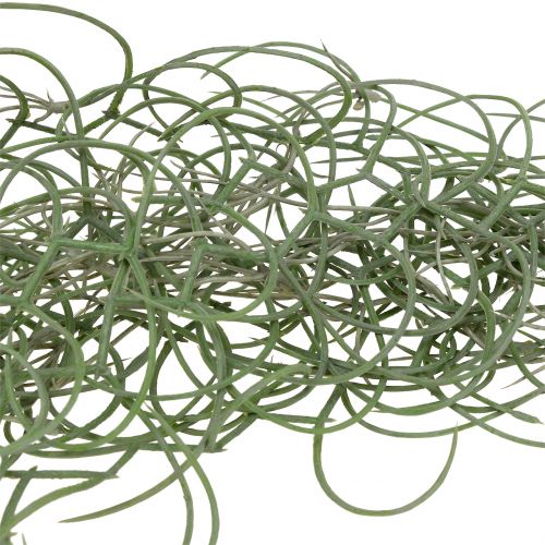 Floristik24 Tillandsia umělá šedá 130cm