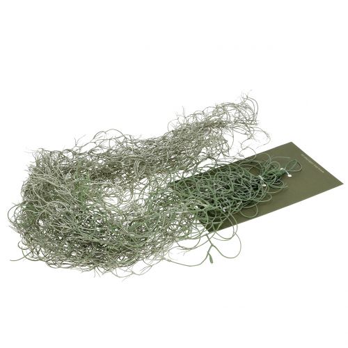 Floristik24 Tillandsia umělá šedá 130cm