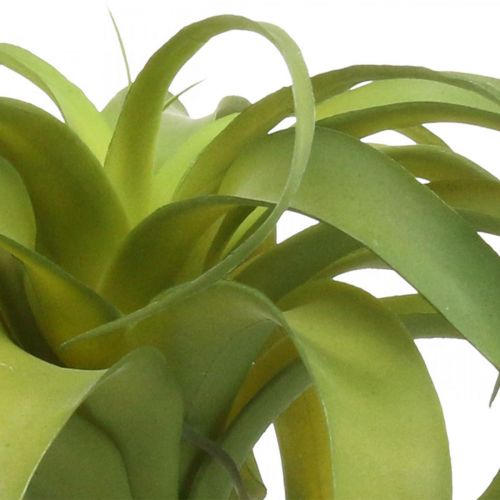 Floristik24 Tillandsia umělá k nalepování světle zelená umělá rostlina 30cm