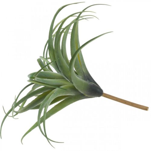 Floristik24 Umělá umělá rostlina Deco Tillandsia na nalepování zelená Ø45cm
