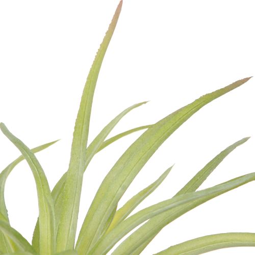 položky Tillandsia zelené umělé rostliny s tyčí Ø17cm 3 ks