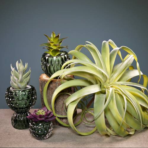 Floristik24 Tillandsia umělá k nalepování světle zelená umělá rostlina 30cm