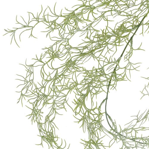 Floristik24 Tillandsia věšák zelený 160cm