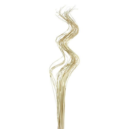 Floristik24 Ting Ting Curly 60cm bělený 40 ks