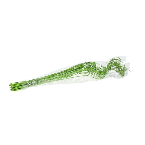 Floristik24 Ting Ting Curly 60cm Zelená 40 ks