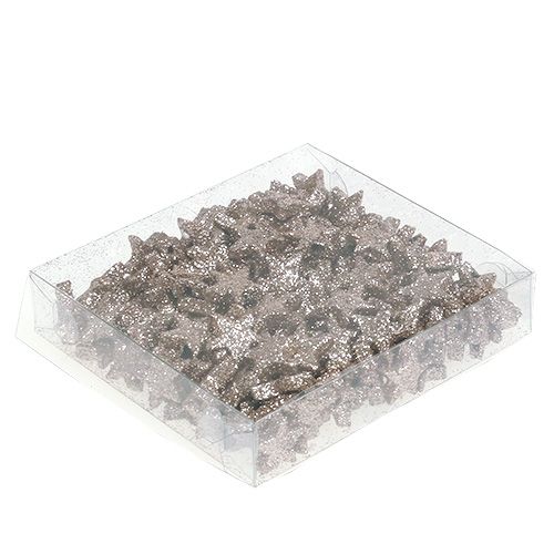 Floristik24 Stolní dekorace star slídové šampaňské 1,5cm 144p