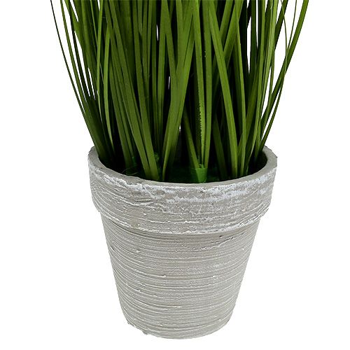 Floristik24 Stolní dekorace dekorativní tráva v květináči zelená 30cm