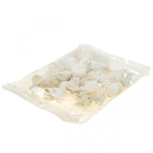 Floristik24 Stolní dekorace námořní, prázdné šnečí ulity bílá 4–5cm mix 500g