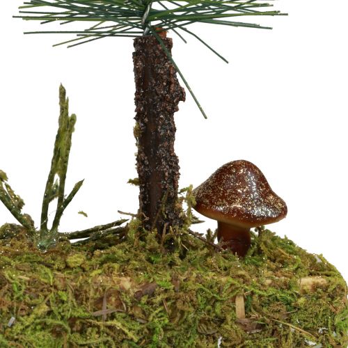 Floristik24 Stolní dekorace mini jedle umělá jedle lesní podnož 30cm