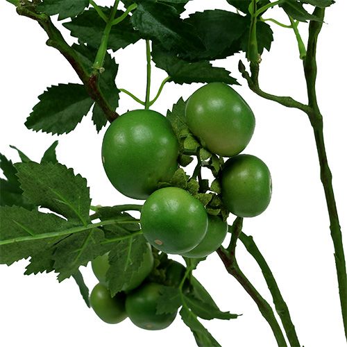 Floristik24 Rajčatová větev L60cm zelená