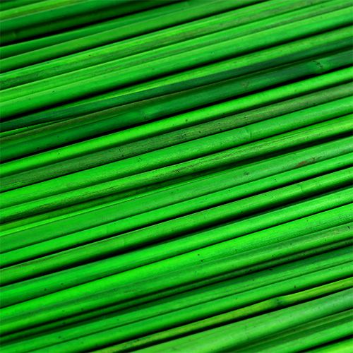 Floristik24 Tonkin zelená 70cm 150p.