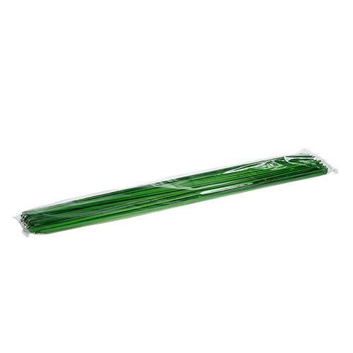 Floristik24 Tonkin zelená 70cm 150p.