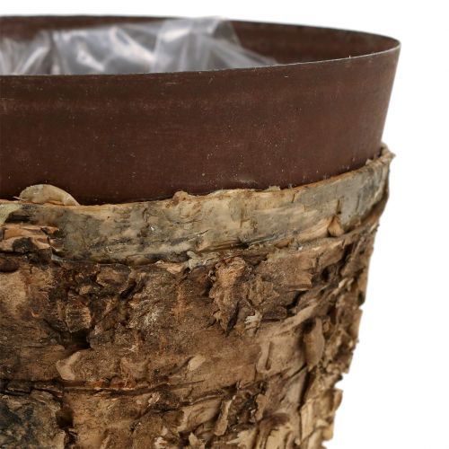 Floristik24 Hrnec s břízou a kov Ø17,5cm H16,5cm 1ks