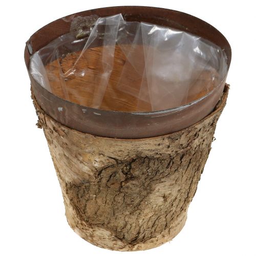 Floristik24 Hrnec s břízou a kov Ø17,5cm H16,5cm 1ks