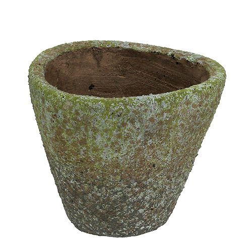 Floristik24 Hrnec šedý mech Ø16cm H13,5cm 1ks