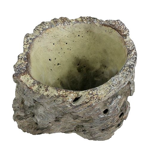 Floristik24 Hrnec jako kmen stromu Ø10,5cm H12cm 2ks