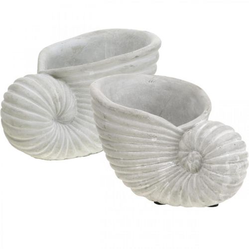 Mušle na výsadbu, námořní dekorace, květináč Nautilus beton L15cm V9,5cm 2ks