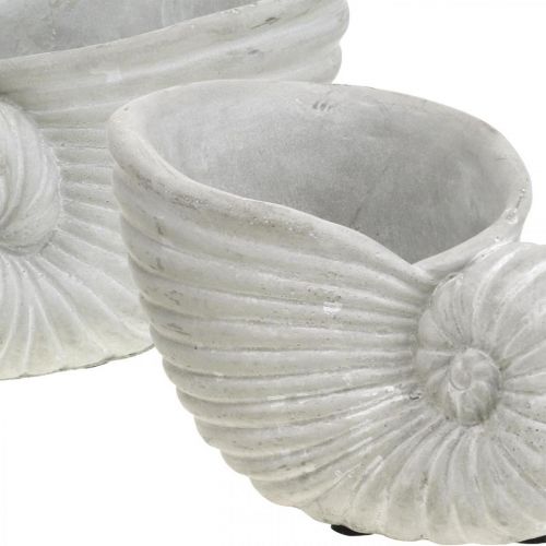 Floristik24 Mušle na výsadbu, námořní dekorace, květináč Nautilus beton L15cm V9,5cm 2ks