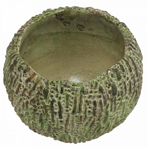 položky Květináč betonový starožitný vzhled zelený, hnědý květináč kulatý Ø15,5 cm
