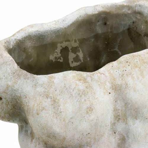 Floristik24 Torzo květináče samec šedé 19 × 13,5 cm V28 cm